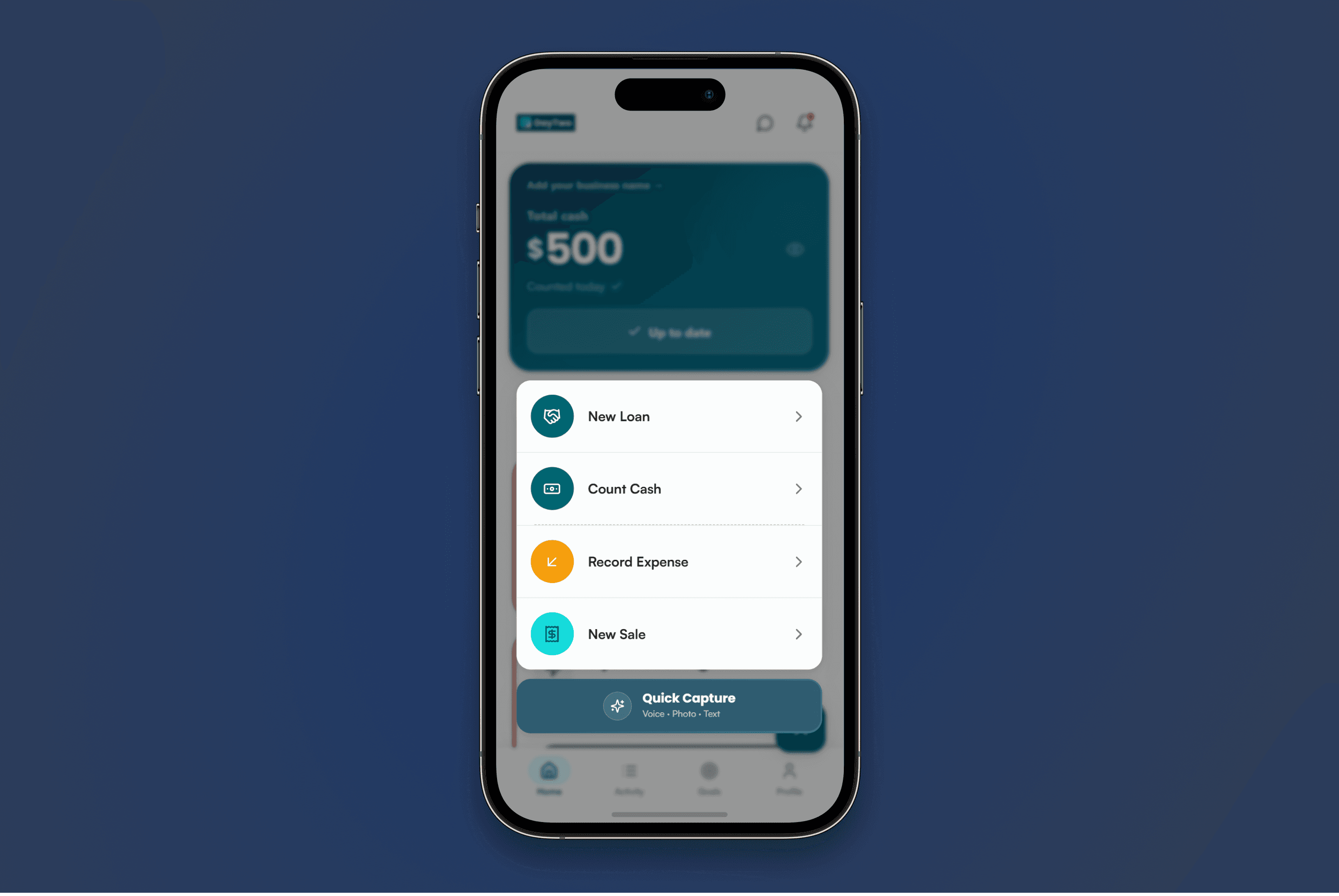 Transaction entry flow for managing cash updates, loans, sales, expenses, and receipt capture